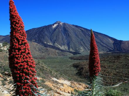 Pico del Teide